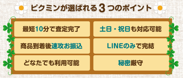 piku-min.site03